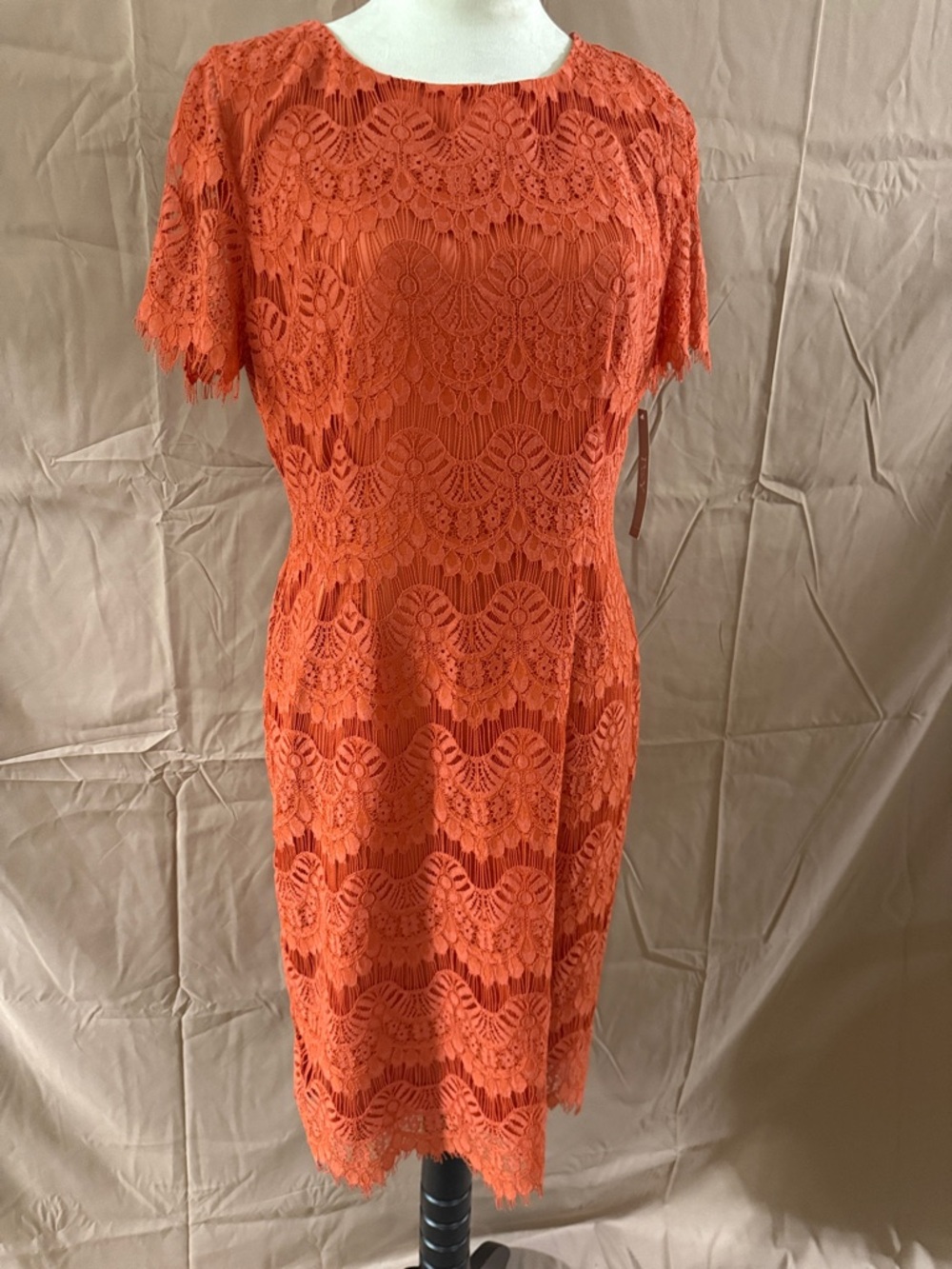 NWT Preston & York Coral Orange Lace Midi Dress Size 8